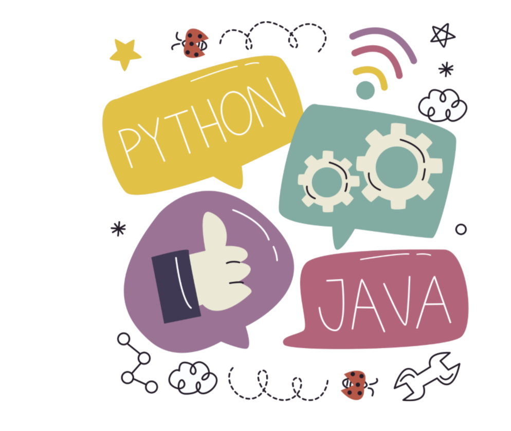 learn python language